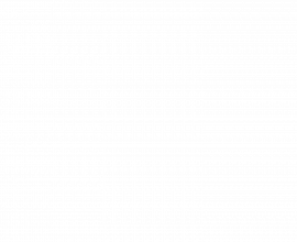 test-duplicate-1